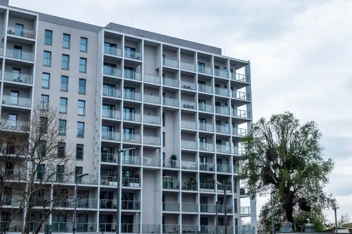 Open green spaces and tree-lined avenues within Embassy Knowledge Park, a 200-acre township in North Bangalore